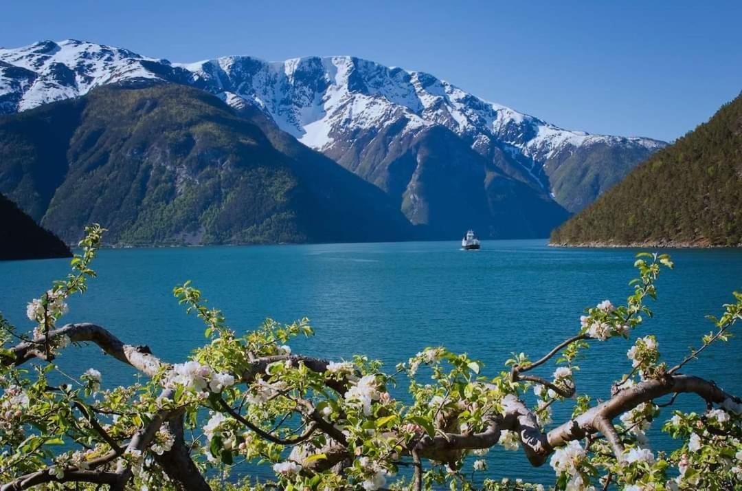 Nedre Amla Fjord Apartment Kaupanger Buitenkant foto