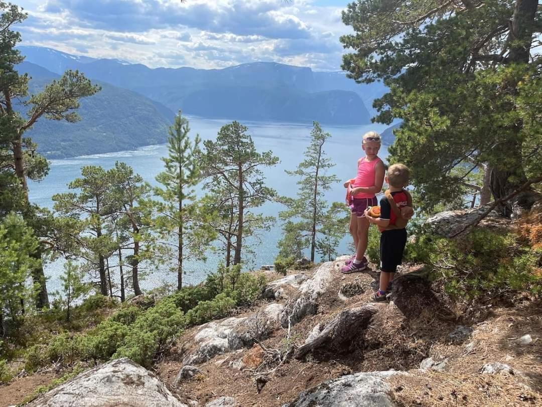 Nedre Amla Fjord Apartment Kaupanger Buitenkant foto